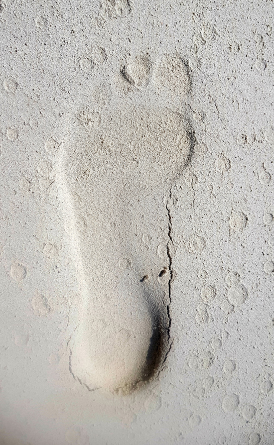169 (8)