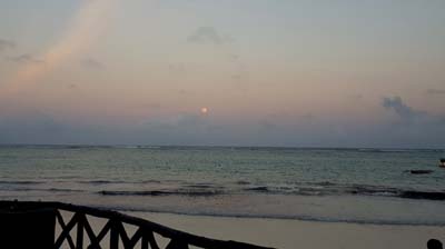 diani-Blue8
