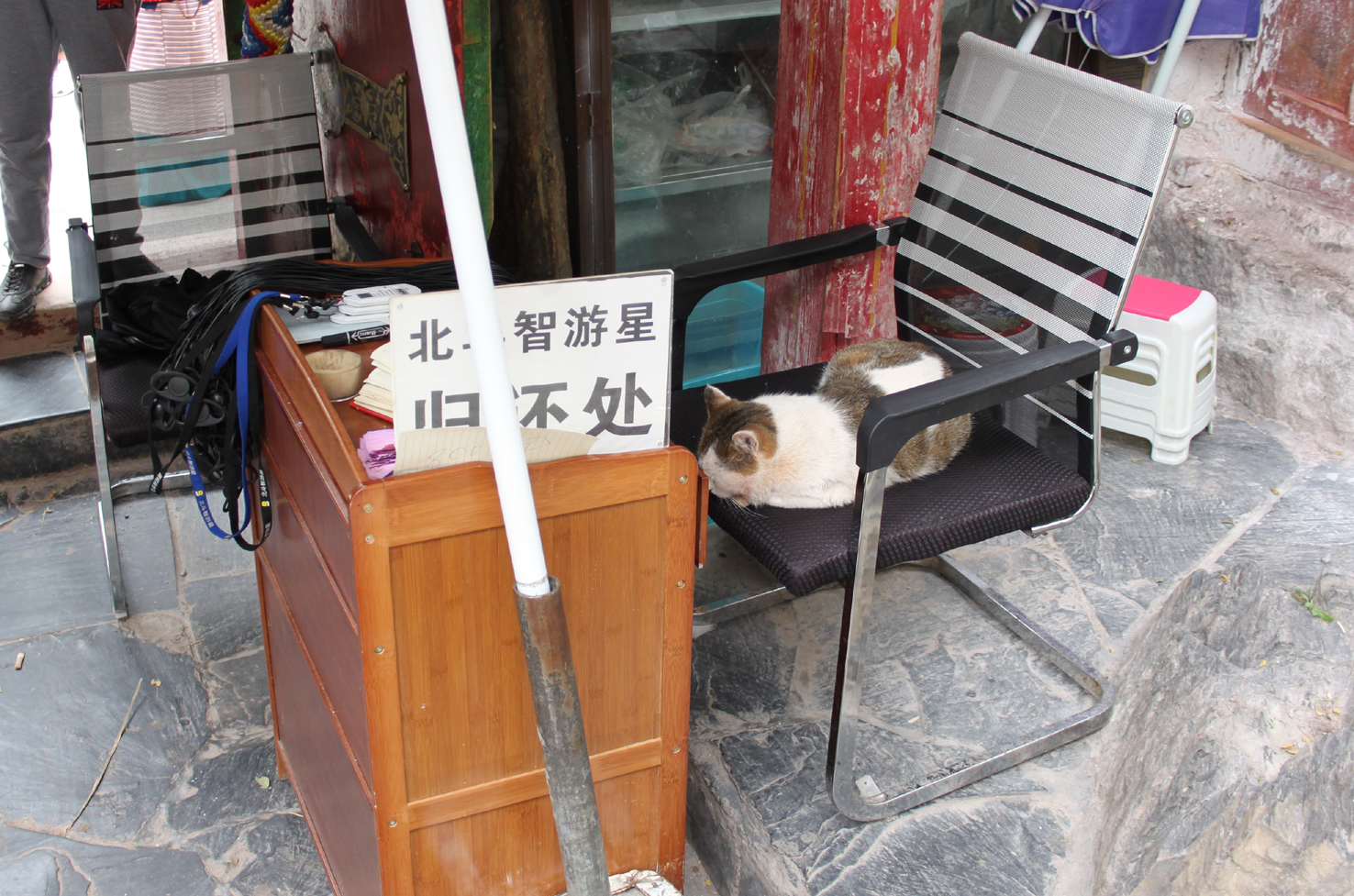 20180927_Potala (190)