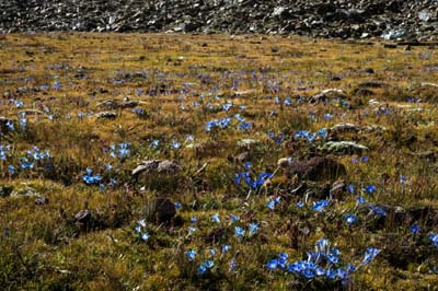 20180928-blauer-See (450)