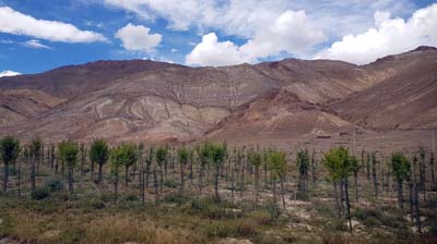 20180928-blauer-See (475)