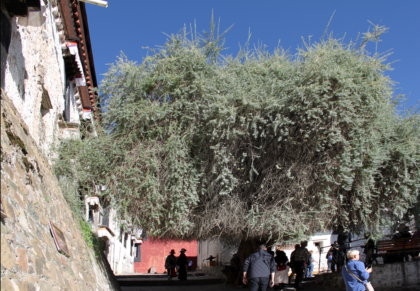 20180929_Shigatse (390)