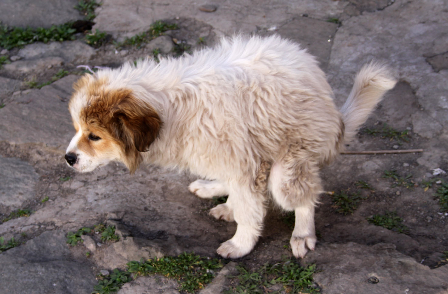 20180929_Shigatse (400)