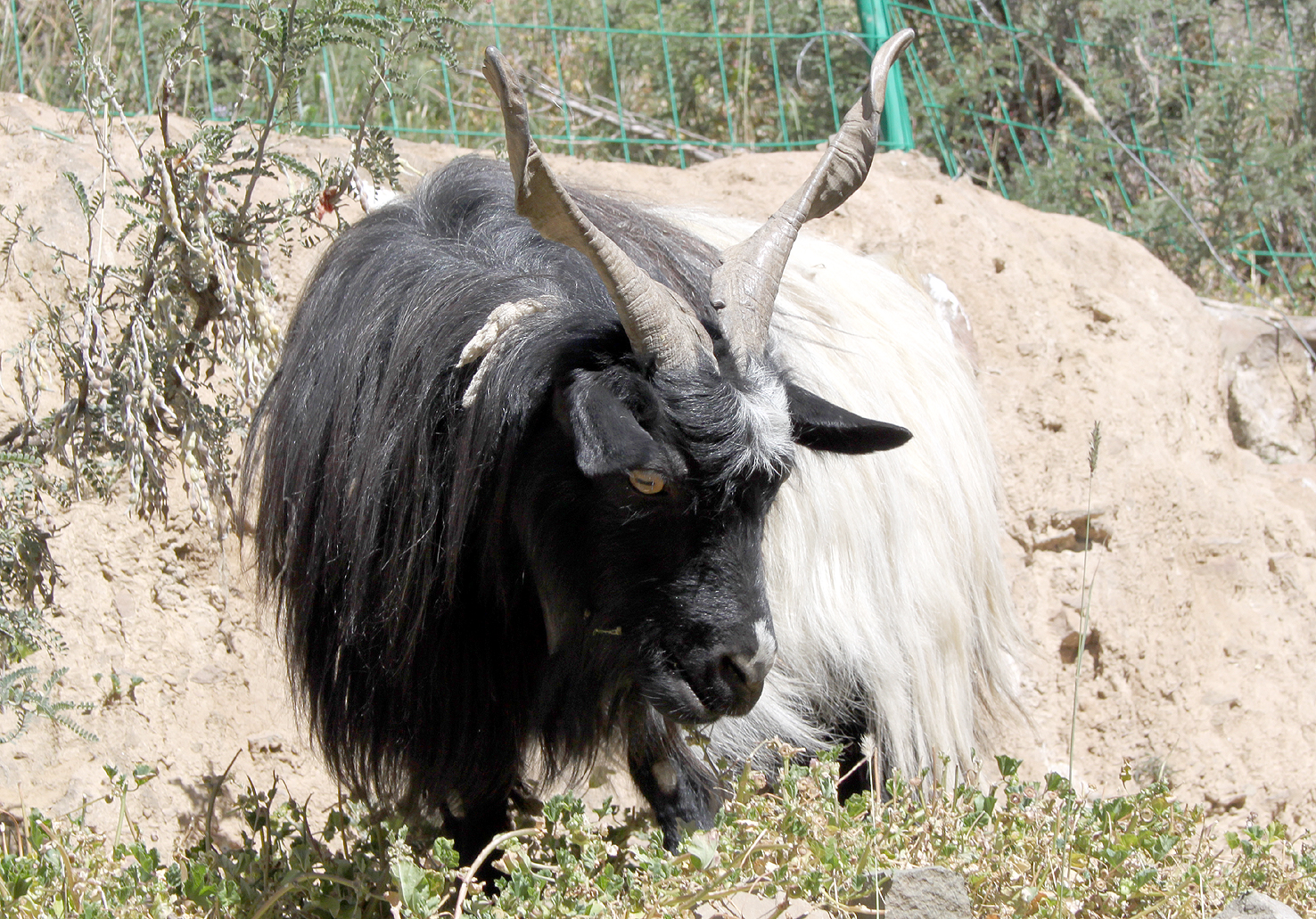 20180929_Shigatse (452)