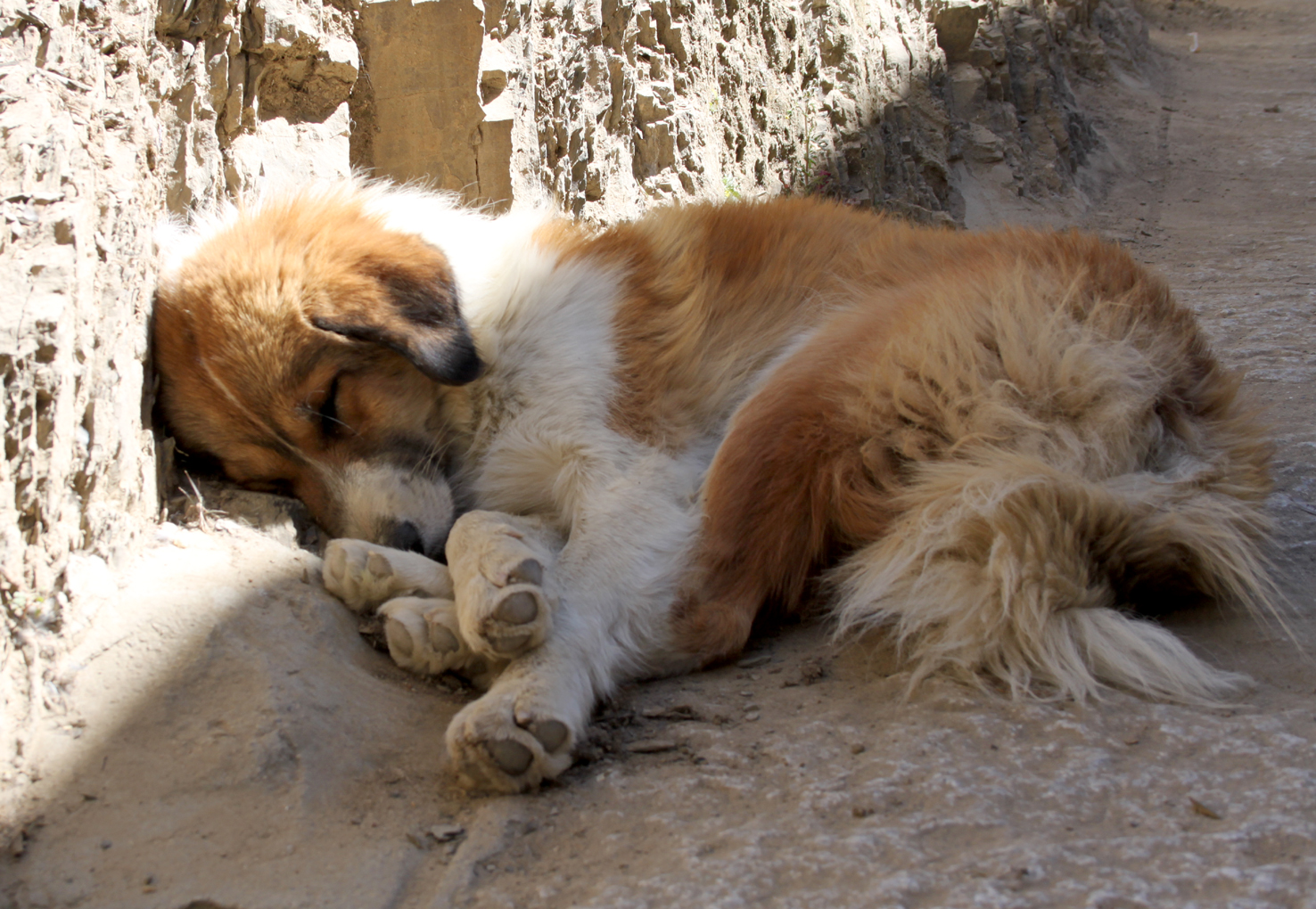 20180929_Shigatse (456)