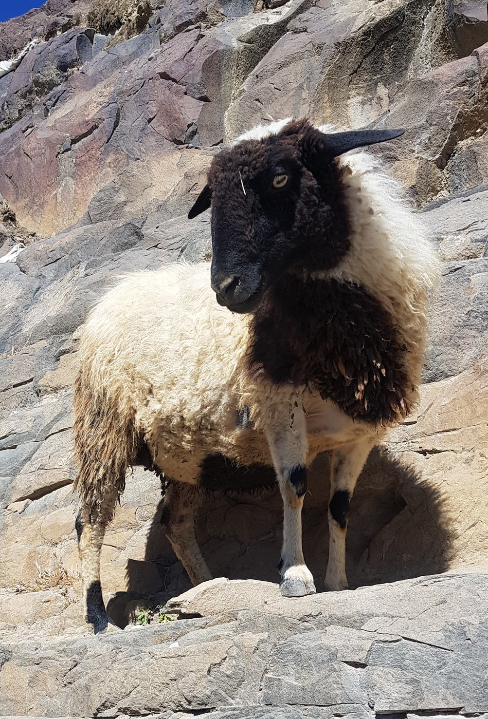 20180929_Shigatse (466)
