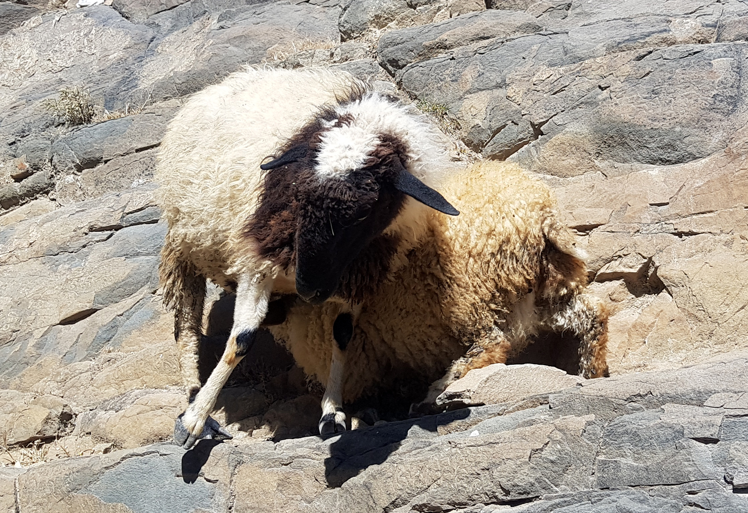 20180929_Shigatse (467)