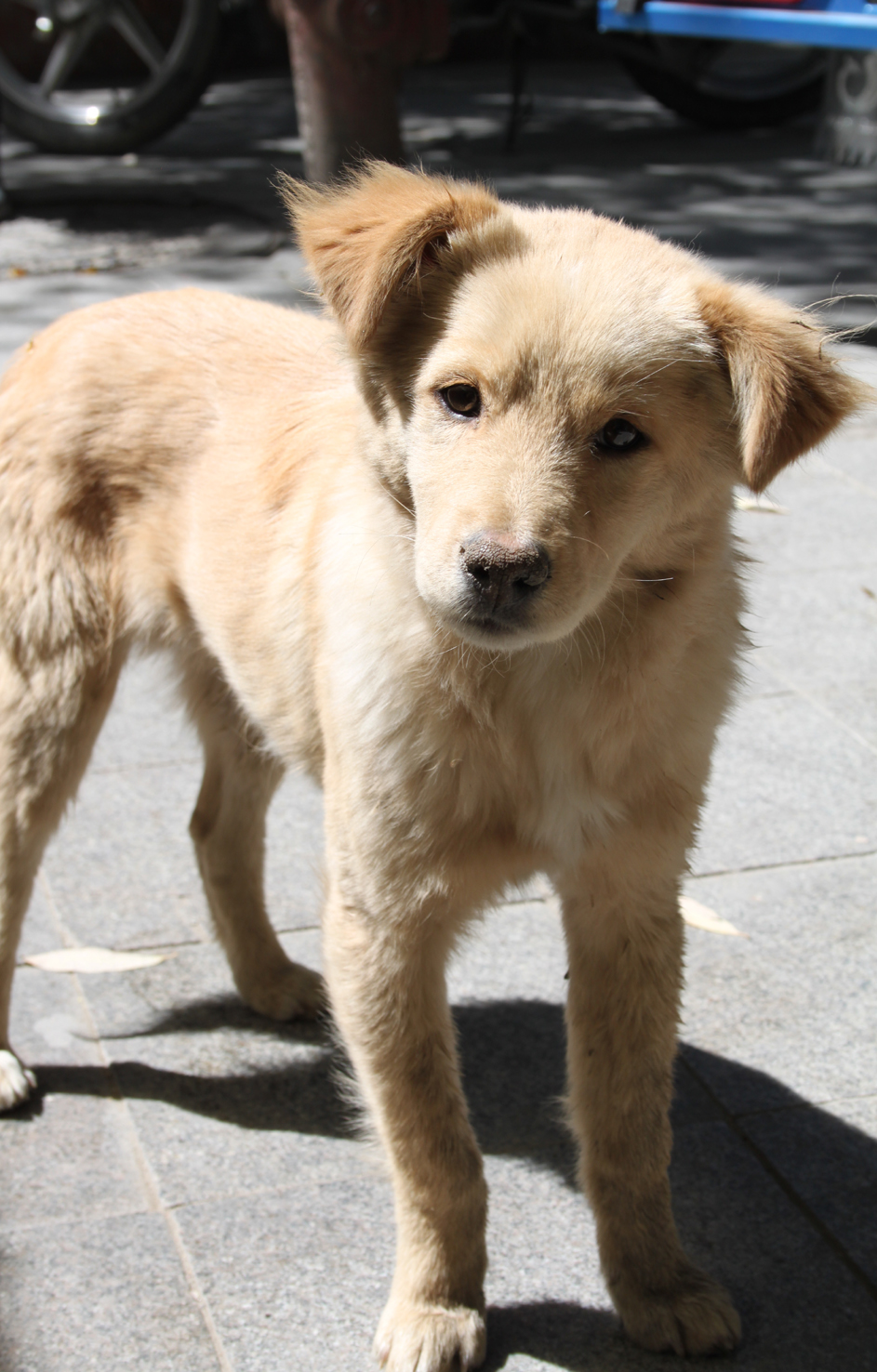 20180929_Shigatse (481)