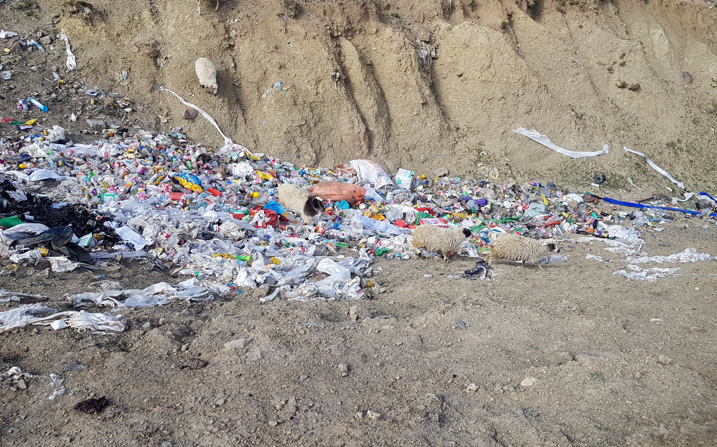 20180929_Shigatse (492a)