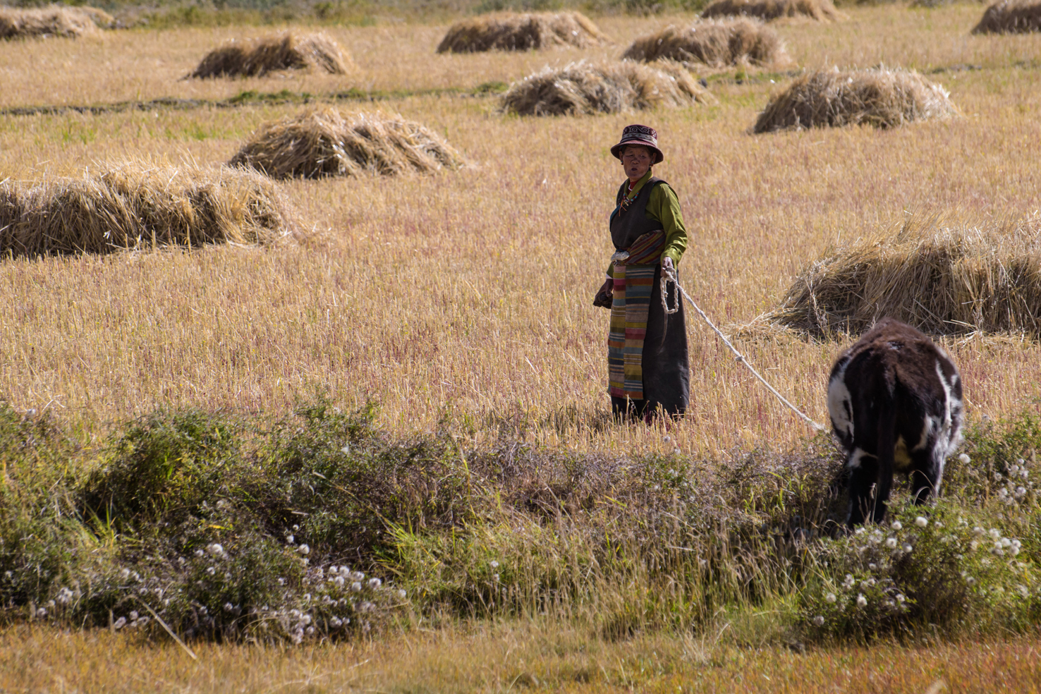 20180929_Shigatse (507)