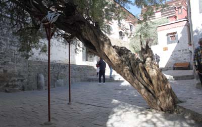 20180929_Shigatse (389)