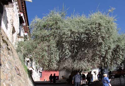 20180929_Shigatse (390)