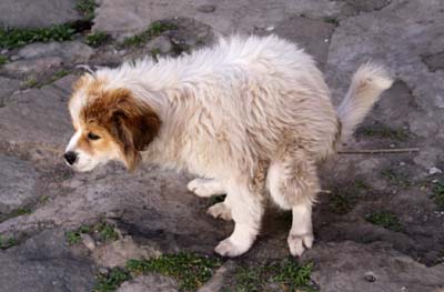 20180929_Shigatse (400)