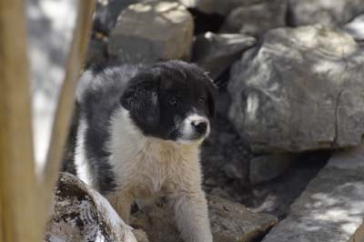 20180929_Shigatse (450)