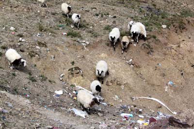 20180929_Shigatse (492)