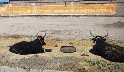 20180929_Shigatse (496)