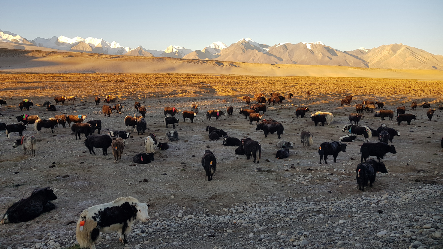 20181002_Grenze-Nepal (290)