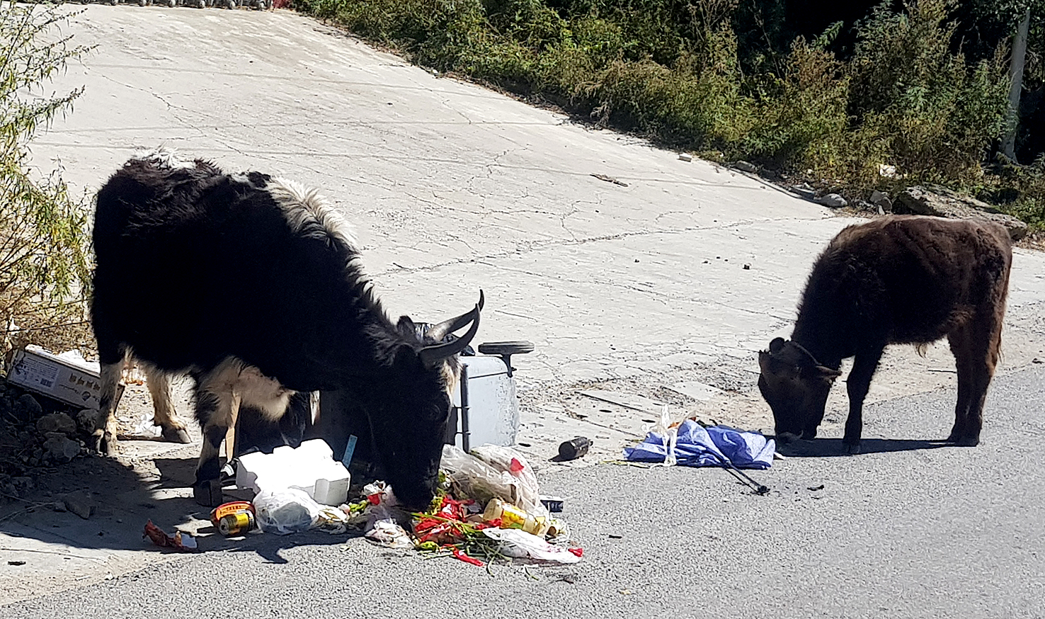 20181002_Grenze-Nepal (322)
