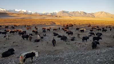 20181002_Grenze-Nepal (290)