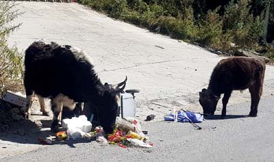 20181002_Grenze-Nepal (322)