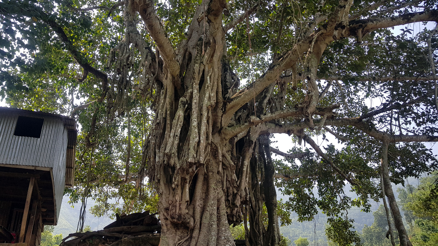 20181003_nach-Kathmandu (193)
