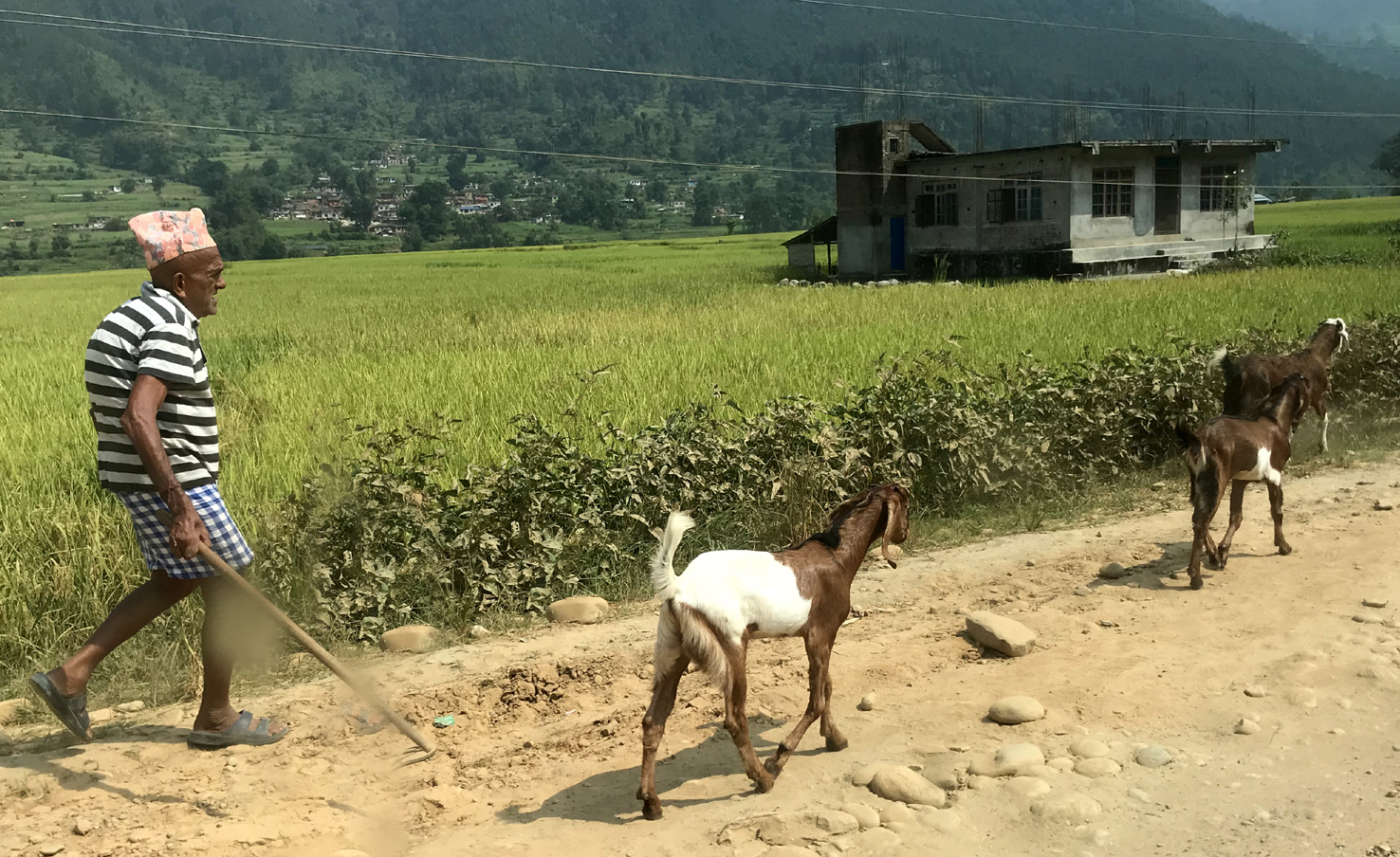 20181003_nach-Kathmandu (203)