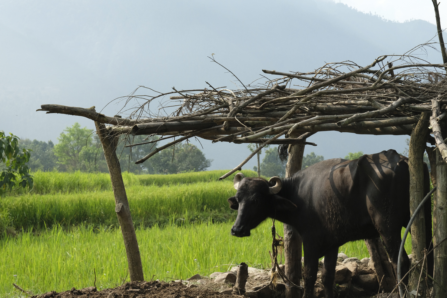 20181003_nach-Kathmandu (215)