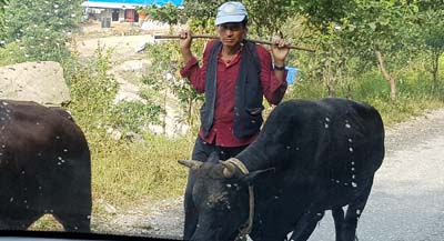 20181003_nach-Kathmandu (172)