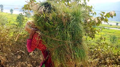 20181003_nach-Kathmandu (189)
