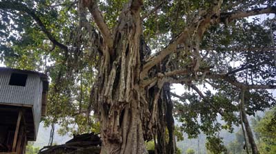 20181003_nach-Kathmandu (193)