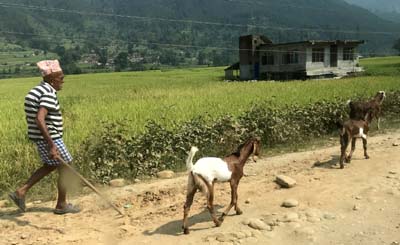 20181003_nach-Kathmandu (203)