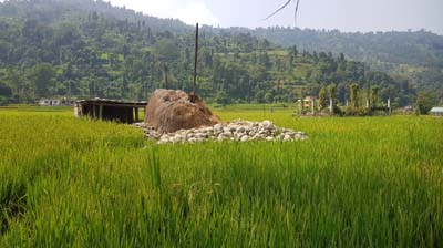 20181003_nach-Kathmandu (209)