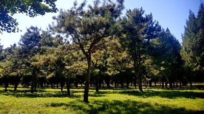 20180916-Peking (137)