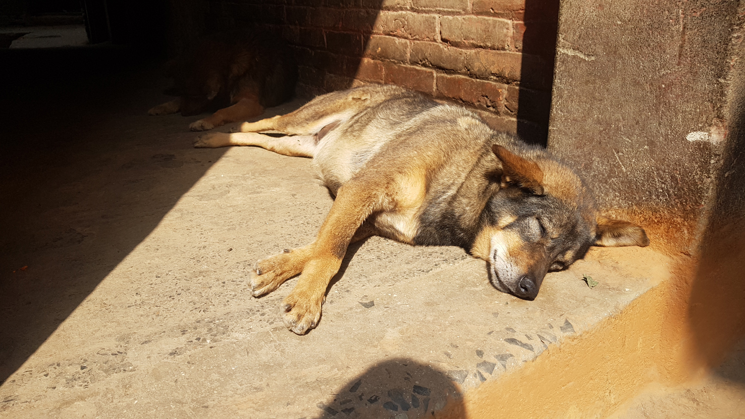 20181004_kathmandu (173)