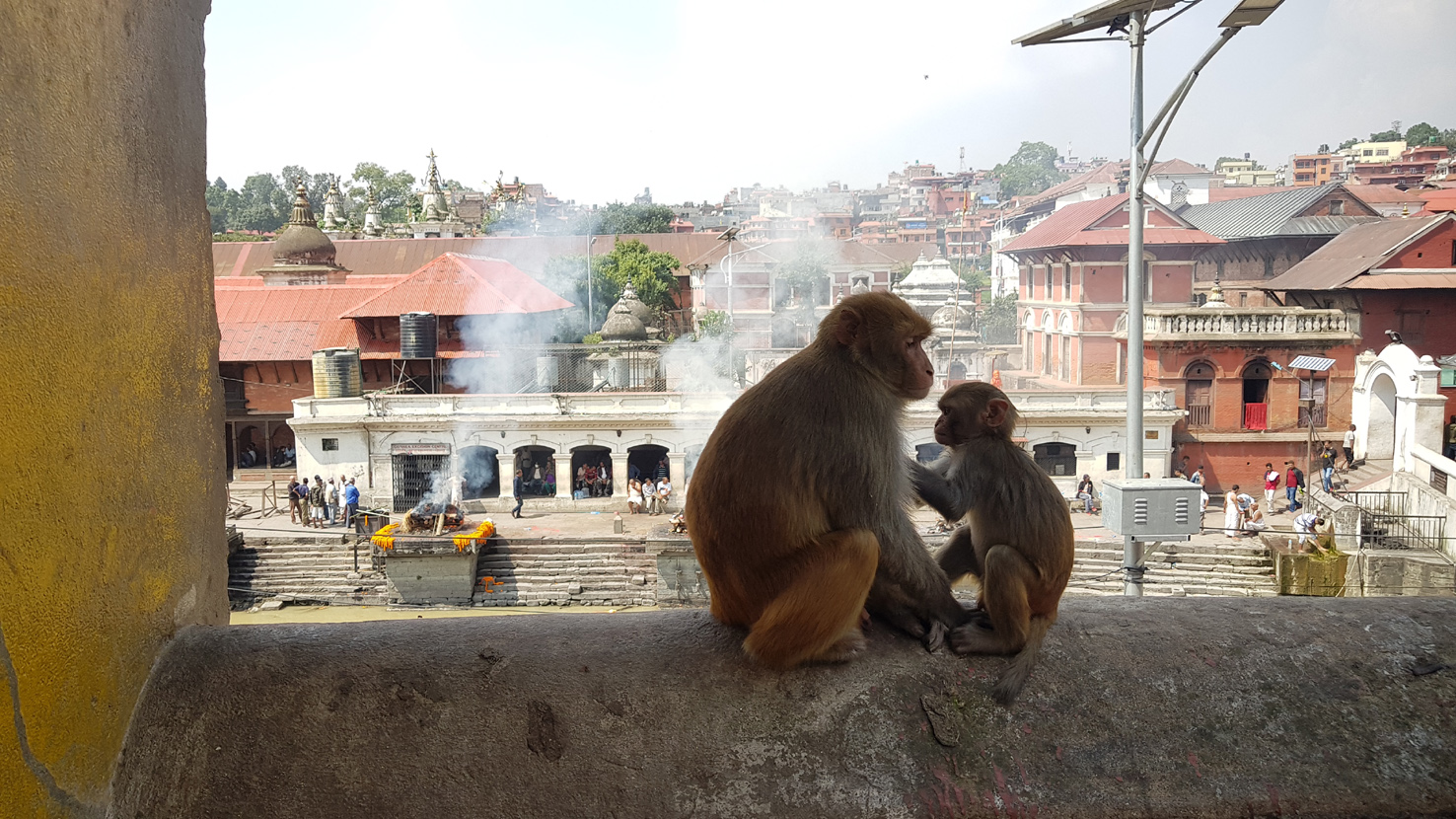 20181005_Last-day-Kathmandu (306)