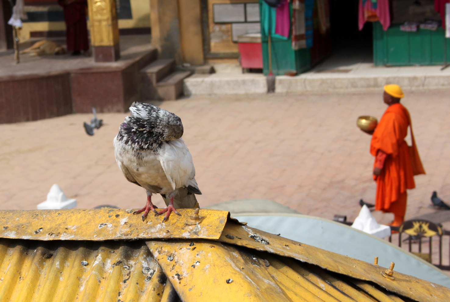 20181005_Last-day-Kathmandu (343)