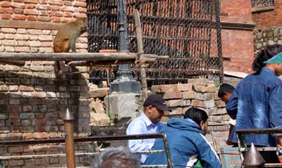 20181005_Last-day-Kathmandu (292)