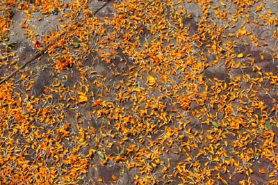 20181005_Last-day-Kathmandu (294)