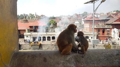 20181005_Last-day-Kathmandu (306)