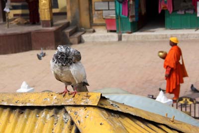 20181005_Last-day-Kathmandu (343)