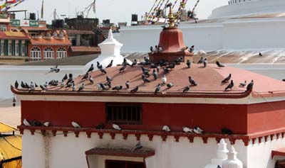 20181005_Last-day-Kathmandu (355)