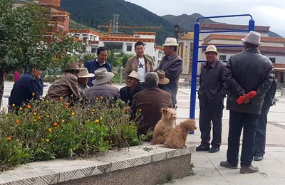20180919_Reise-Labrang (212)
