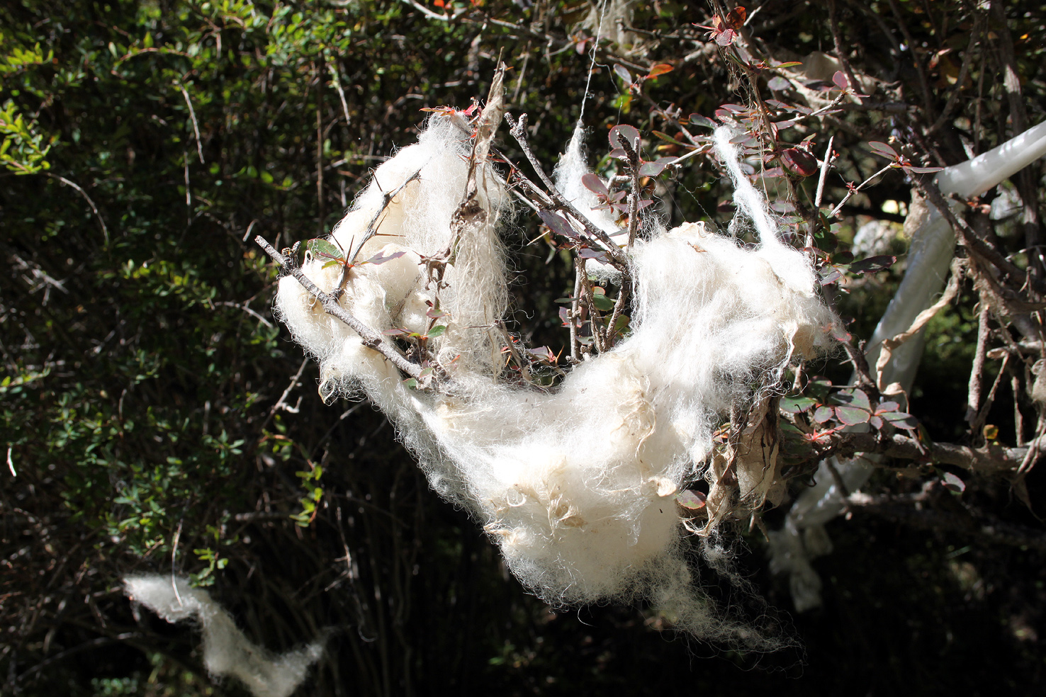 20180921-heilige-Hoehlen (414)