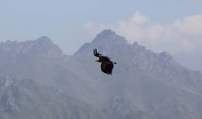 20180923_Fahrt-Xining (195)