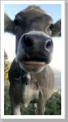 Klicken Sie auf das Bild, um es zu vergrößern