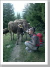 Klicken Sie auf das Bild, um es zu vergrößern