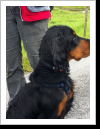 Klicken Sie auf das Bild, um es zu vergrößern