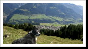 Klicken Sie auf das Bild, um es zu vergrößern